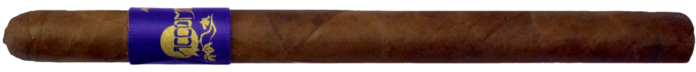 ACCOMPLICE COROJO LANCERO