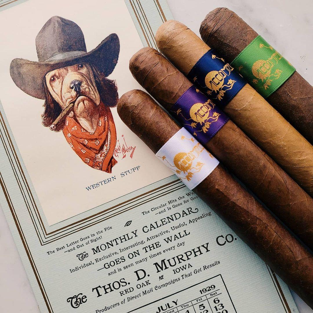 ACCOMPLICE COROJO ROBUSTO
