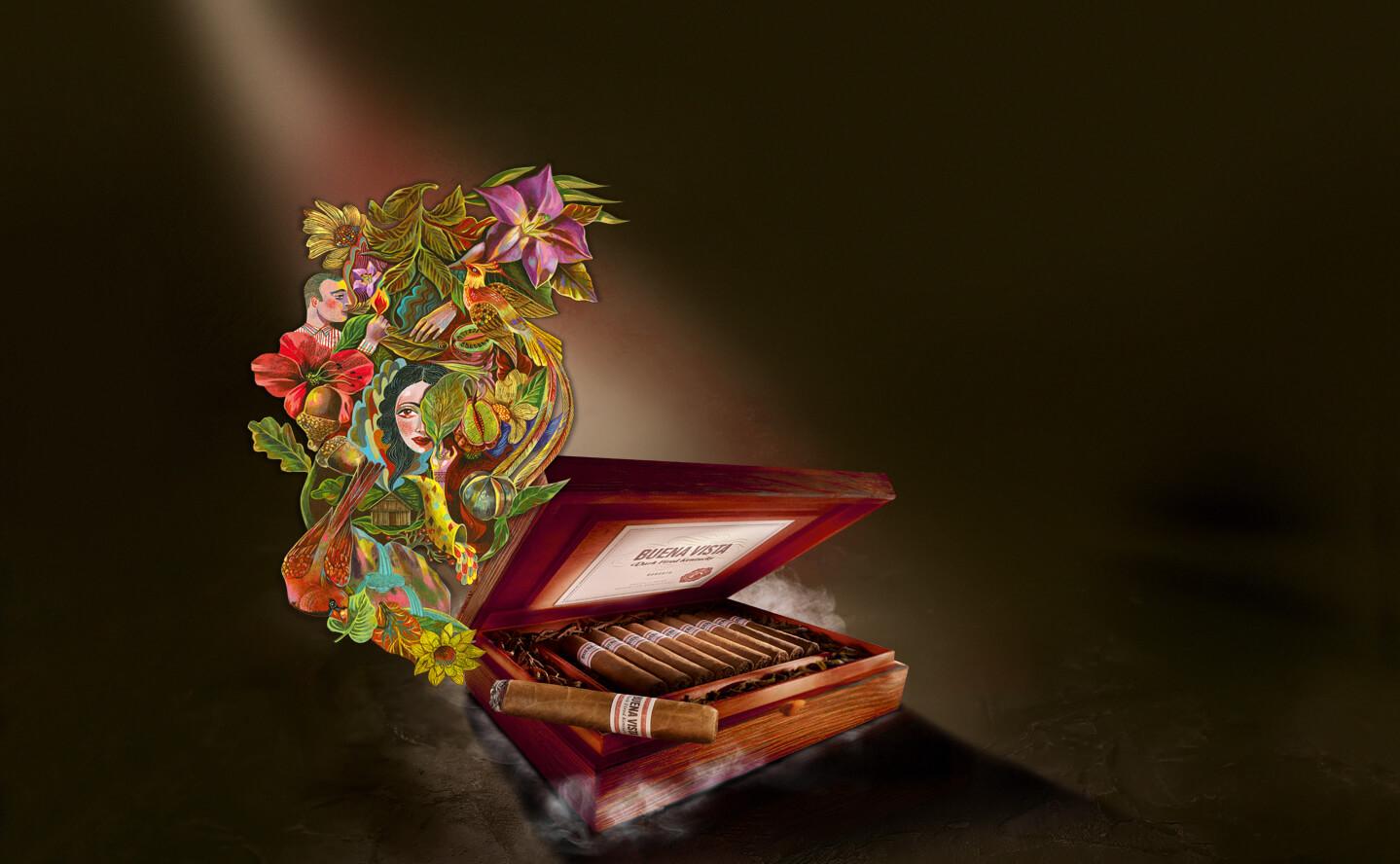 Доминиканские сигары Arnold Andre Buena Vista, линейка Dark Fired Kentucky&nbsp;(копчение над тлеющими дровами)