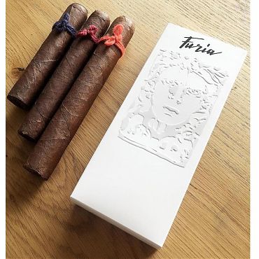 Furia Sampler