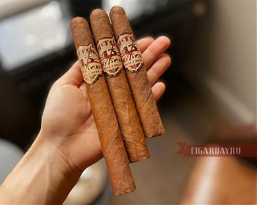 ЧОРТОВА ДЮЖИНА II