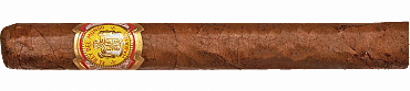 Rey Del Mundo Demi Tasse