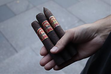 Oro Del Mundo Noir Robusto