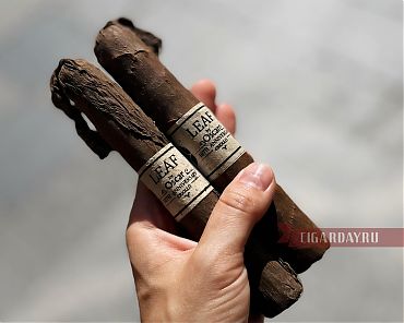 Leaf by Oscar Valladares 10th Anniversary Criollo Toro