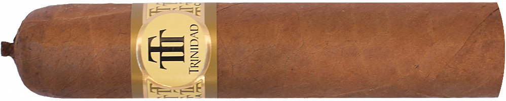 Trinidad Vigia