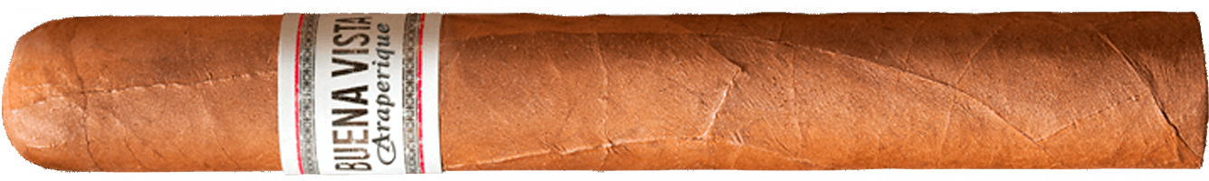 Buena Vista Araperique Toro