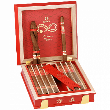 Plasencia 2025 El ano de la Culebra Year of the Snake