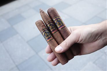Oro Del Mundo Clasico Robusto