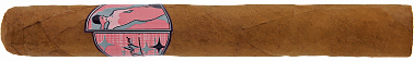 PRINCIPLE CIGARS Angelique Lonsdale