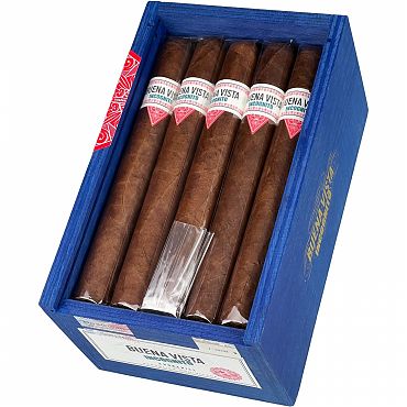 Buena Vista Incognito Churchill