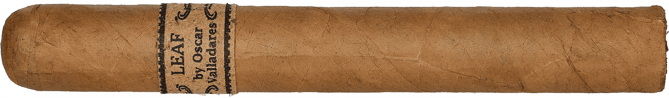 Leaf by Oscar Valladares Connecticut Toro