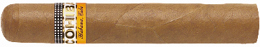 Cohiba Robustos